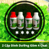 combo-2-cap-thuy-canh-an-la
