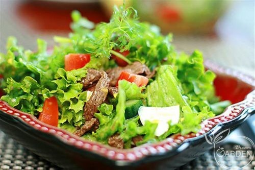 salad-thit-bo-chua-ngot